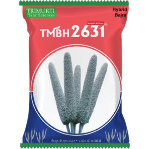 TMBH 2631