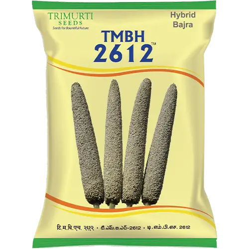 TMBH 2612