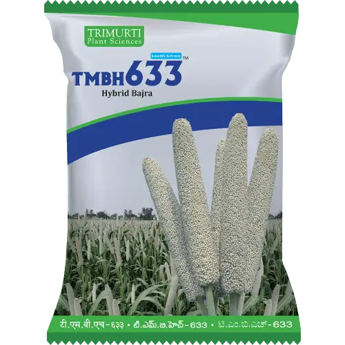 TMBH 633