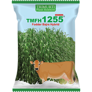 TMFH 1255