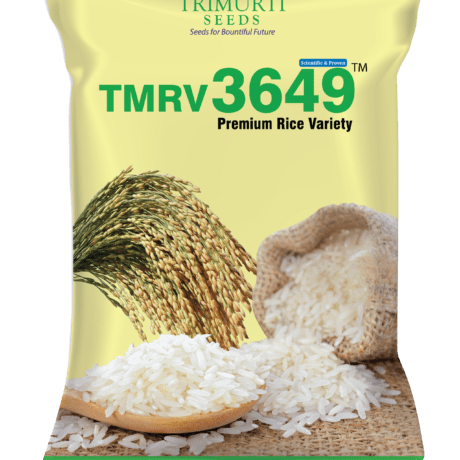 Rice Variety | TriMurti Plant Sciences Private Limited