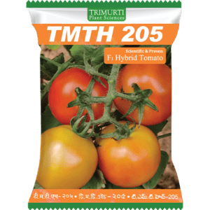 TMTH 205