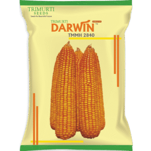 Darwin (TMMH 2840)