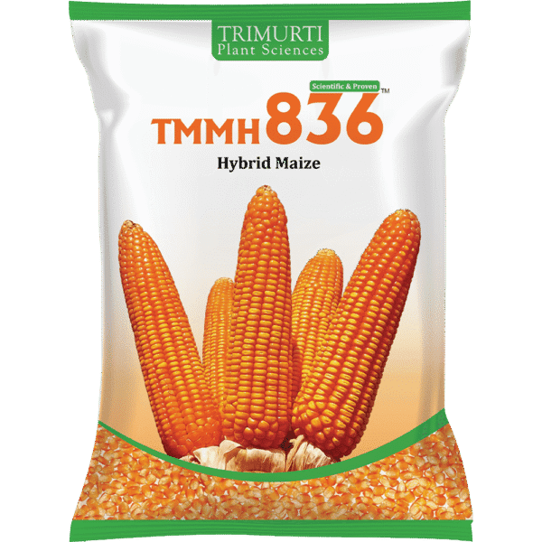 TMMH 836 | TriMurti Plant Sciences Private Limited