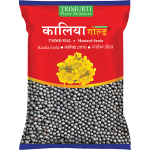 KAALIA GOLD (TMMD 9242)