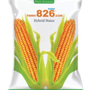 TMMH 826.COM
