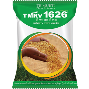TMRV 1626