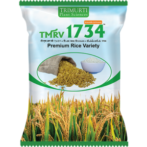 TMRV 1734