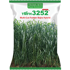 TMFH 3252