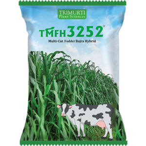 TMFH 3252