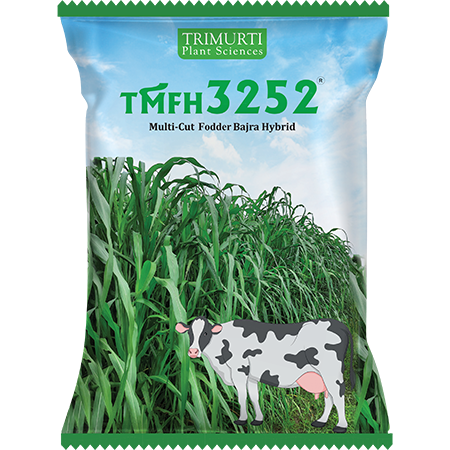 TMFH 3252